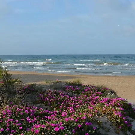 Estrella Del Mar